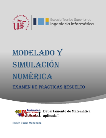 MSN - Examen de prácticas resuelto.pdf
