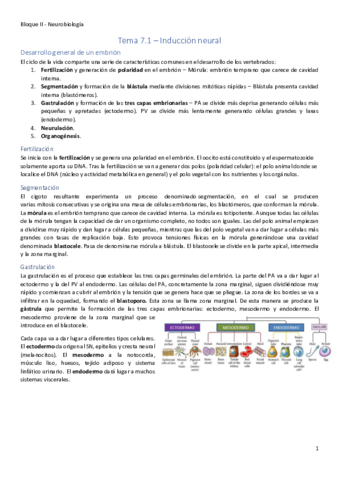 Bloque-II-def.pdf