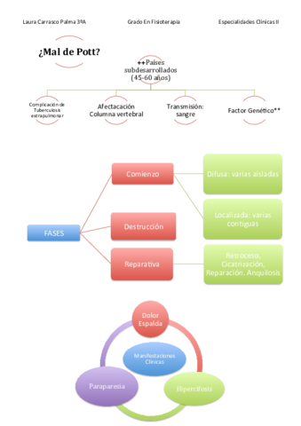 MAL-DE-POTT-Laura-Carrasco-Palma-3oA.pdf