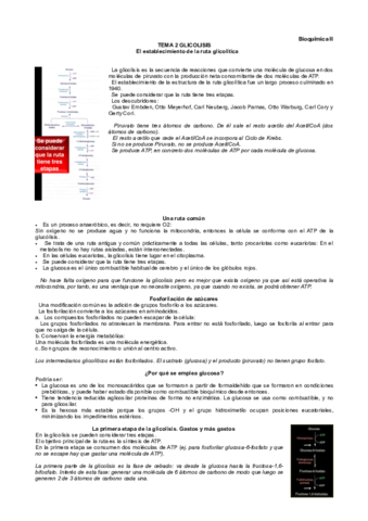 Tema-2-bioquimica-II.pdf