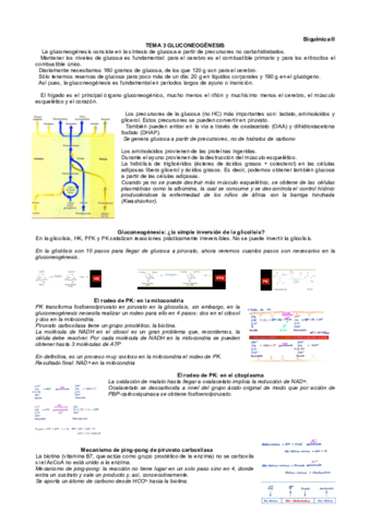 Tema-3-bioquimica-II.pdf