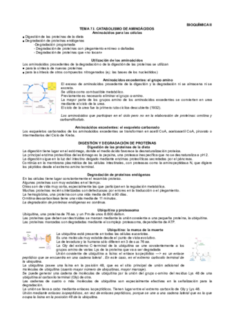 Tema-7-bioquimica-II.pdf