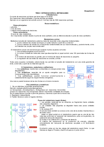 Tema-1-bioquimica-II.pdf