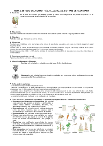T2-botII-cuestiones.pdf