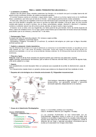 Tema-4-BotII-cuestiones.pdf
