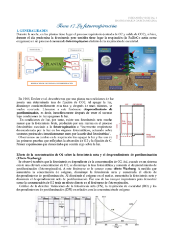 Tema-17-fisio-vegetal-I.pdf