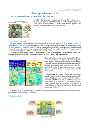 Tema-19-fisio-vegetal-I.pdf