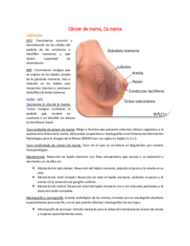 2-Cancer-de-mama.pdf