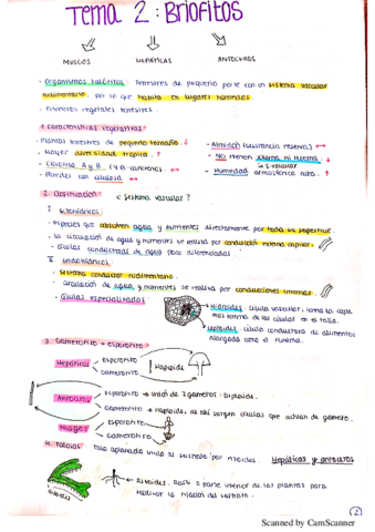 Resumen-botanica.pdf