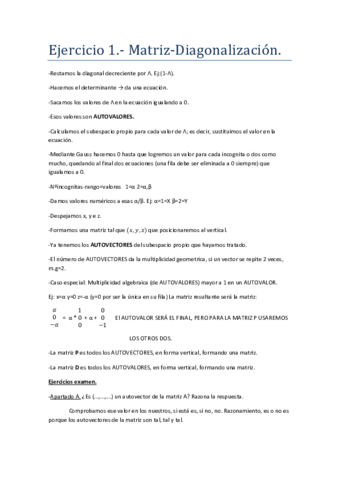 Ejercicio 1 Matriz.pdf