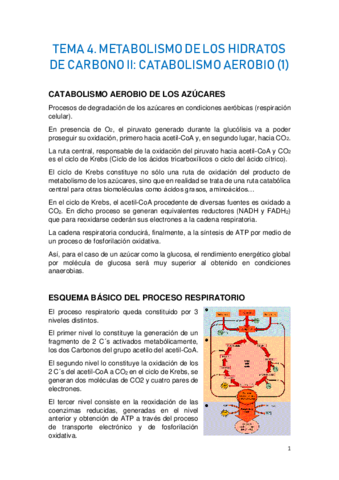 TEMA-4.-METABOLISMO-DE-LOS-HIDRATOS-DE-CARBONO-II-1.pdf