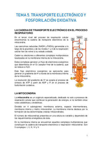 TEMA-5.-TRANSPORTE-ELECTRONICO-Y-FOSFORILACION-OXIDATIVA.pdf