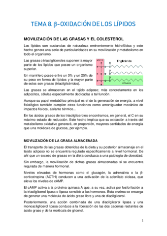 TEMA-8.-METABOLISMO-DE-LOS-LIPIDOS-I.pdf