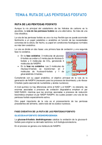 TEMA-6.-RUTA-DE-LAS-PENTOSAS-FOSFATO.pdf