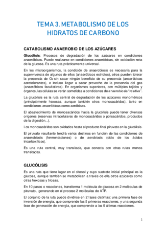 TEMA-3.-METABOLISMO-DE-LOS-HIDRATOS-DE-CARBONO.pdf