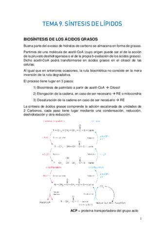 TEMA-9.-METABOLISMO-DE-LOS-LIPIDOS-II.pdf