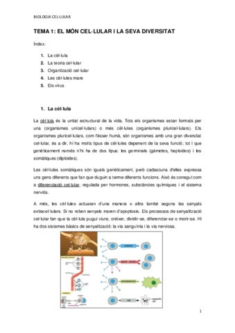 TEMA-1.pdf