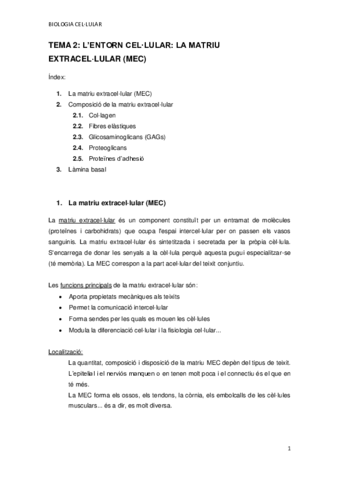 TEMA-2.pdf