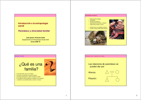 tema6Parentesco_TS_2010_Def_diapos.pdf