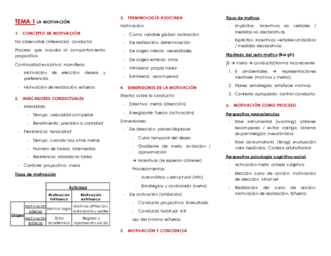 ESQUEMAS-MYE.pdf