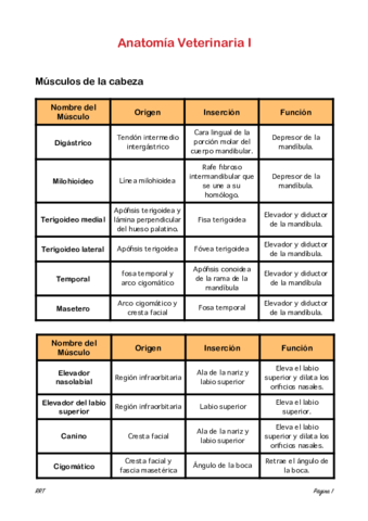 Miologia-origen-e-insercion.pdf
