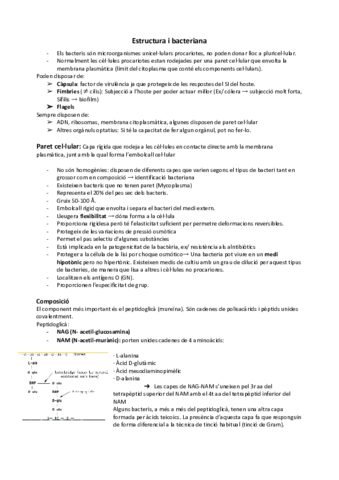 Els-bacteris.pdf