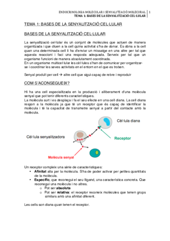 endocrinologia-apunts.pdf