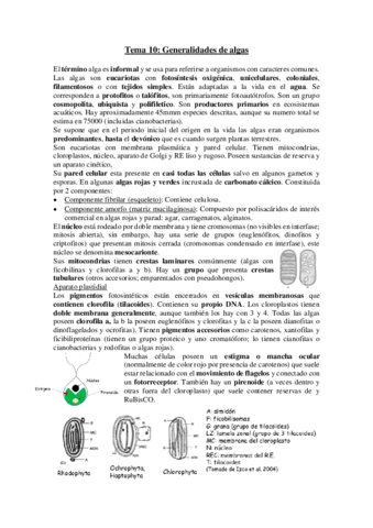Tema-10-Botanica-I.pdf