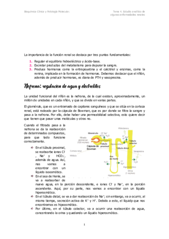 T4.pdf