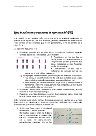 T4.pdf