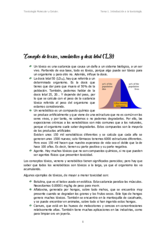 T1.pdf