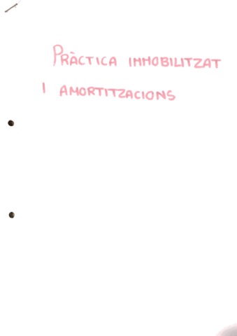 IMMOB-I-AMORT-PRACTICA.pdf