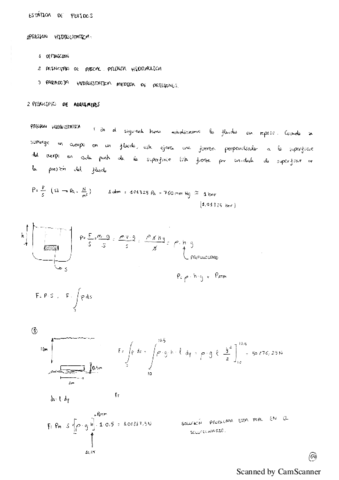 Tema-7-Fisica-I.pdf