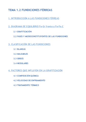 1.2 FUNDICIONES FÉRREAS.pdf