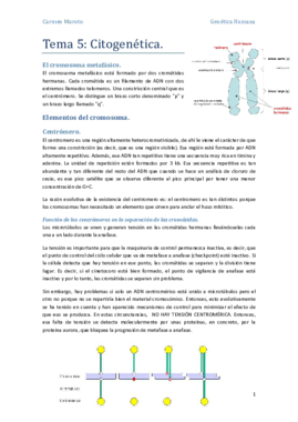 Tema 5 - Citogenética..pdf