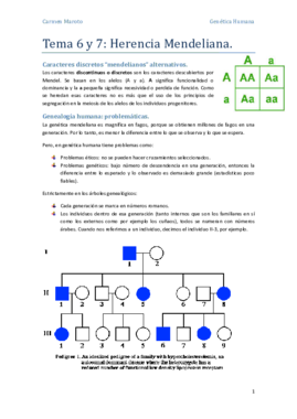Tema 6 y 7.pdf