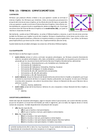 TEMA-13-farmacos-simpaticomimeticos.pdf