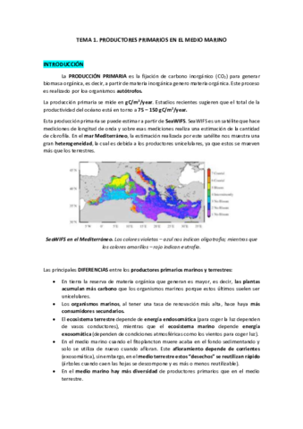 Temario-O.pdf