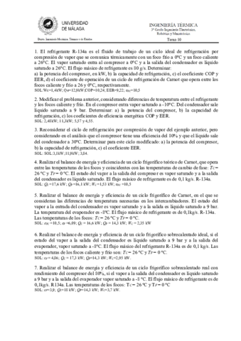 TEMA-10.pdf