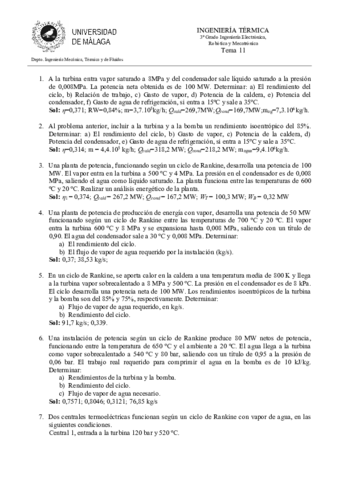 TEMA-11.pdf