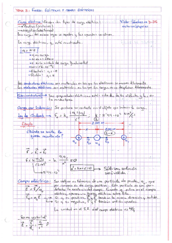 Tema-8-Fuerzas-electricas-y-campos-electricos.pdf