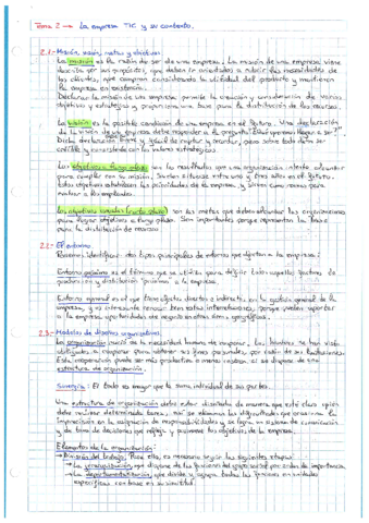 Resumen-Tema-2-La-empresa-TIC-y-su-contexto.pdf