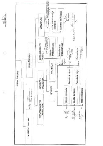 Esquema-analisis-financiero-y-economico.pdf