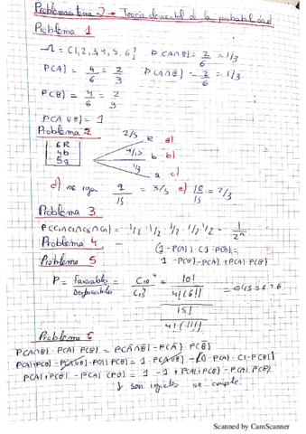 PROBLEMAS-RESUELTOS-TEMA-2-2019.pdf