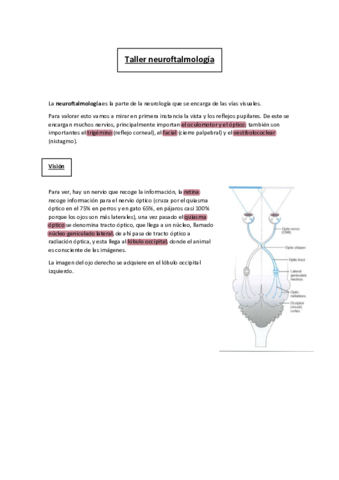 Talleres-y-Practicas.pdf