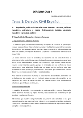 Derecho Civil I.pdf