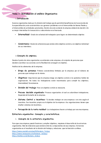Resumen-Diseno-Organizativo.pdf