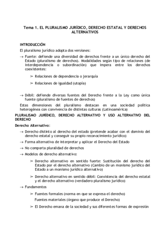 plujuridico.pdf