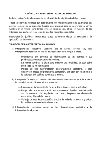 CAPÍTULO VII.pdf