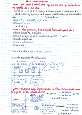 IngenieriaRedesPAcuestionesOSPF.pdf